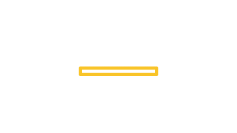 Grafische Abbildung eines Scans